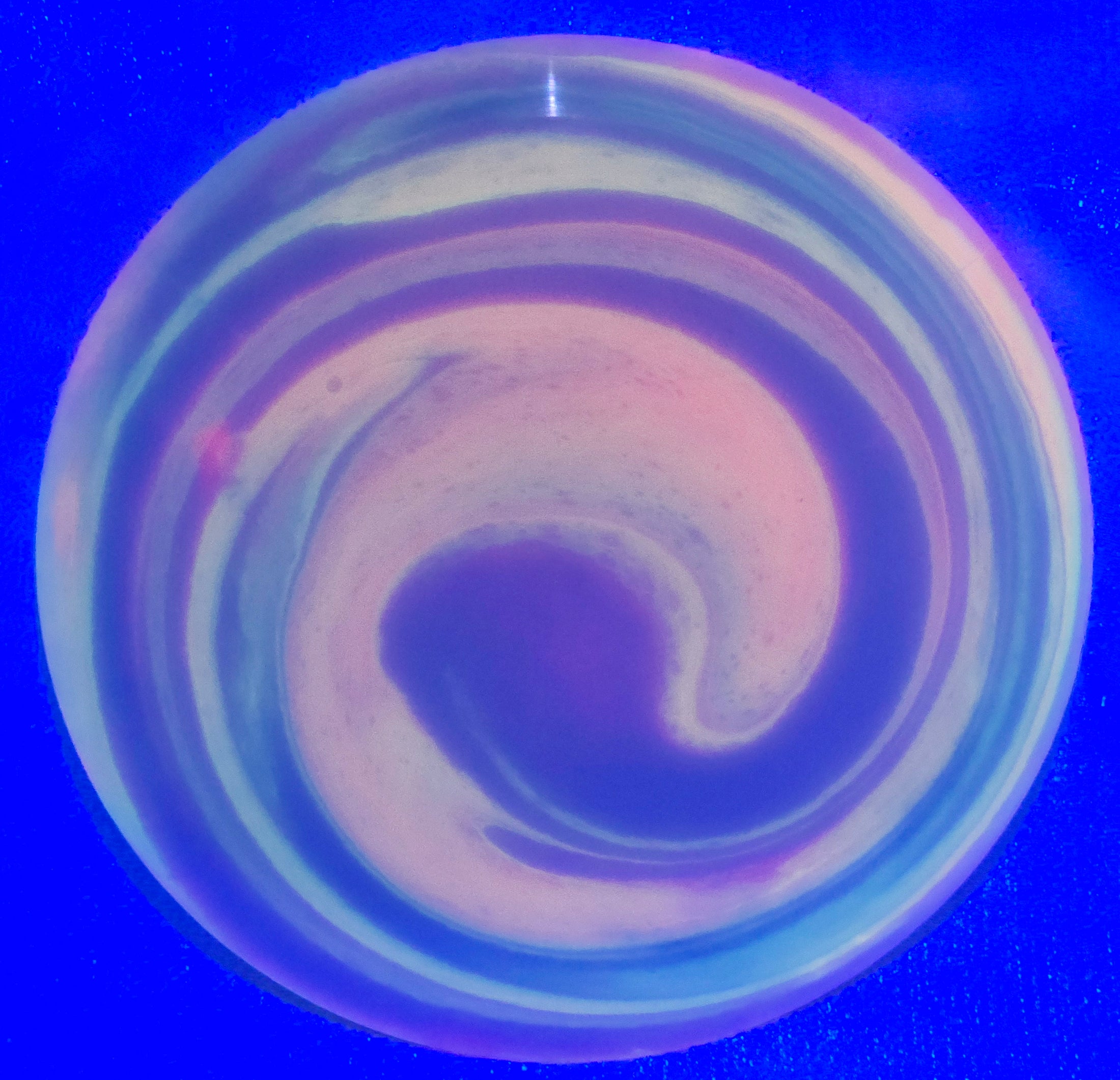 Load image into Gallery viewer, Westside Discs Bear Fairway Driver w/ Custom HUV Dye - VIP 176g