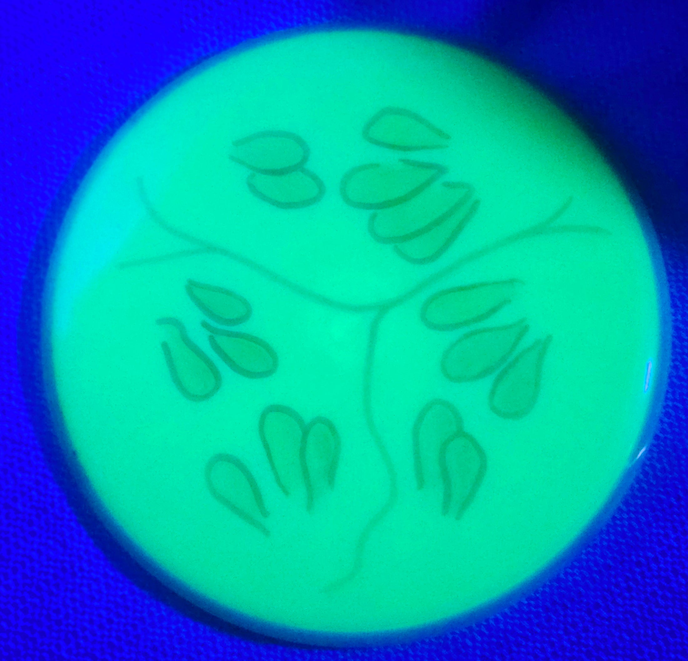 Load image into Gallery viewer, Axiom Envy w/ Hand Drawn Seeds - Plasma 174g