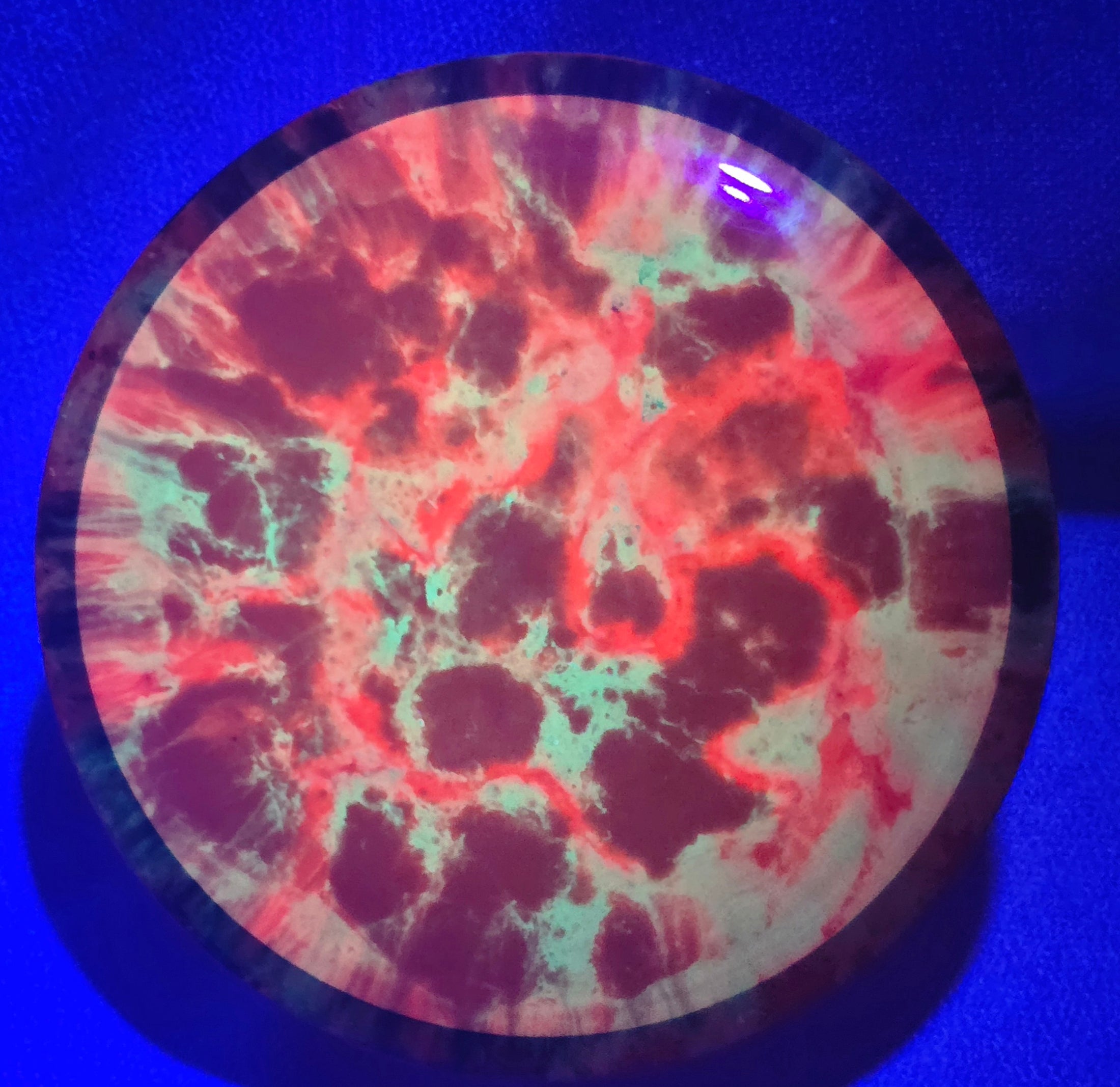 Load image into Gallery viewer, MVP Trail w/ Custom HUV Dye - Neutron 165g