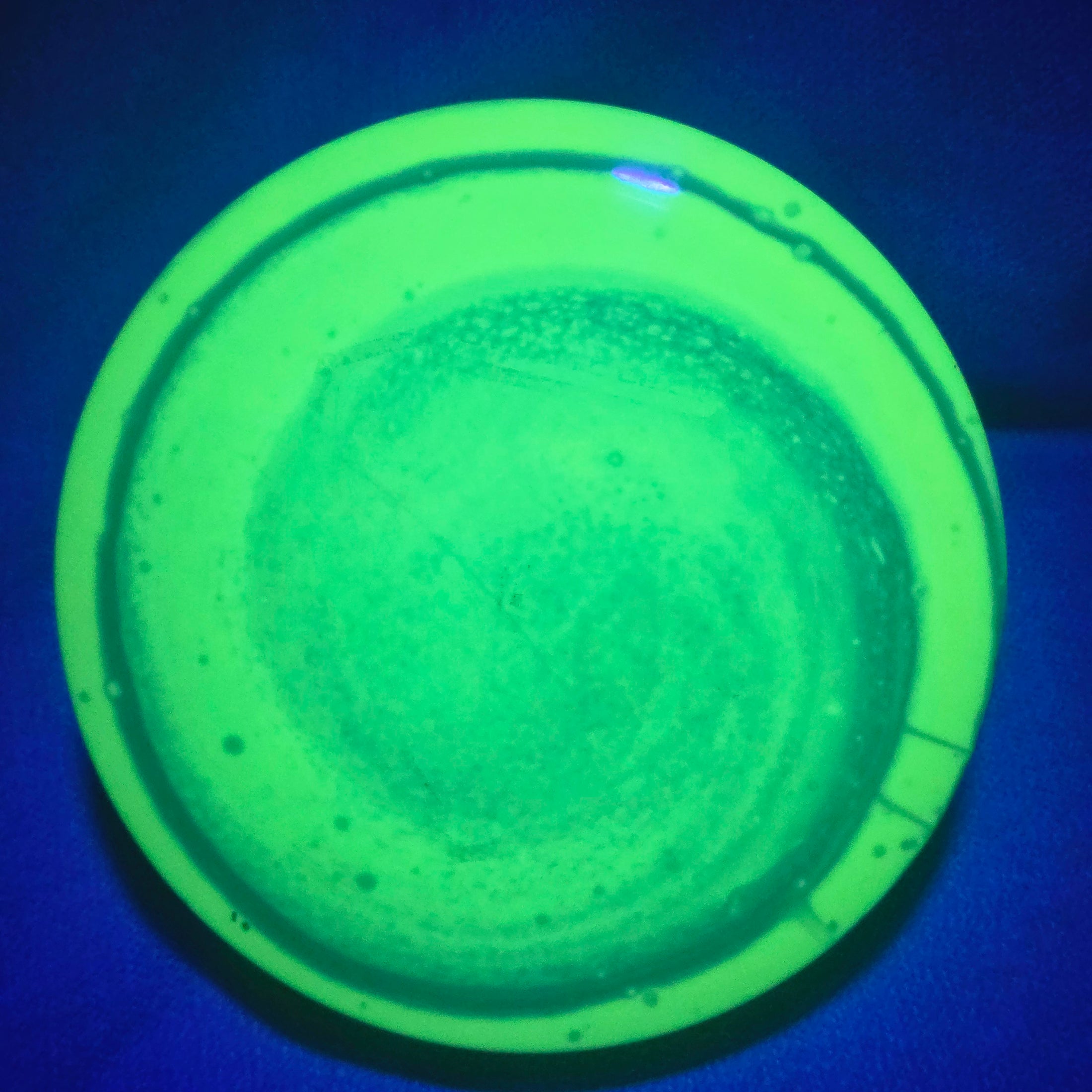 Load image into Gallery viewer, Dynamic Discs Felon w/ Custom Swirl Dye - Fuzion 172g