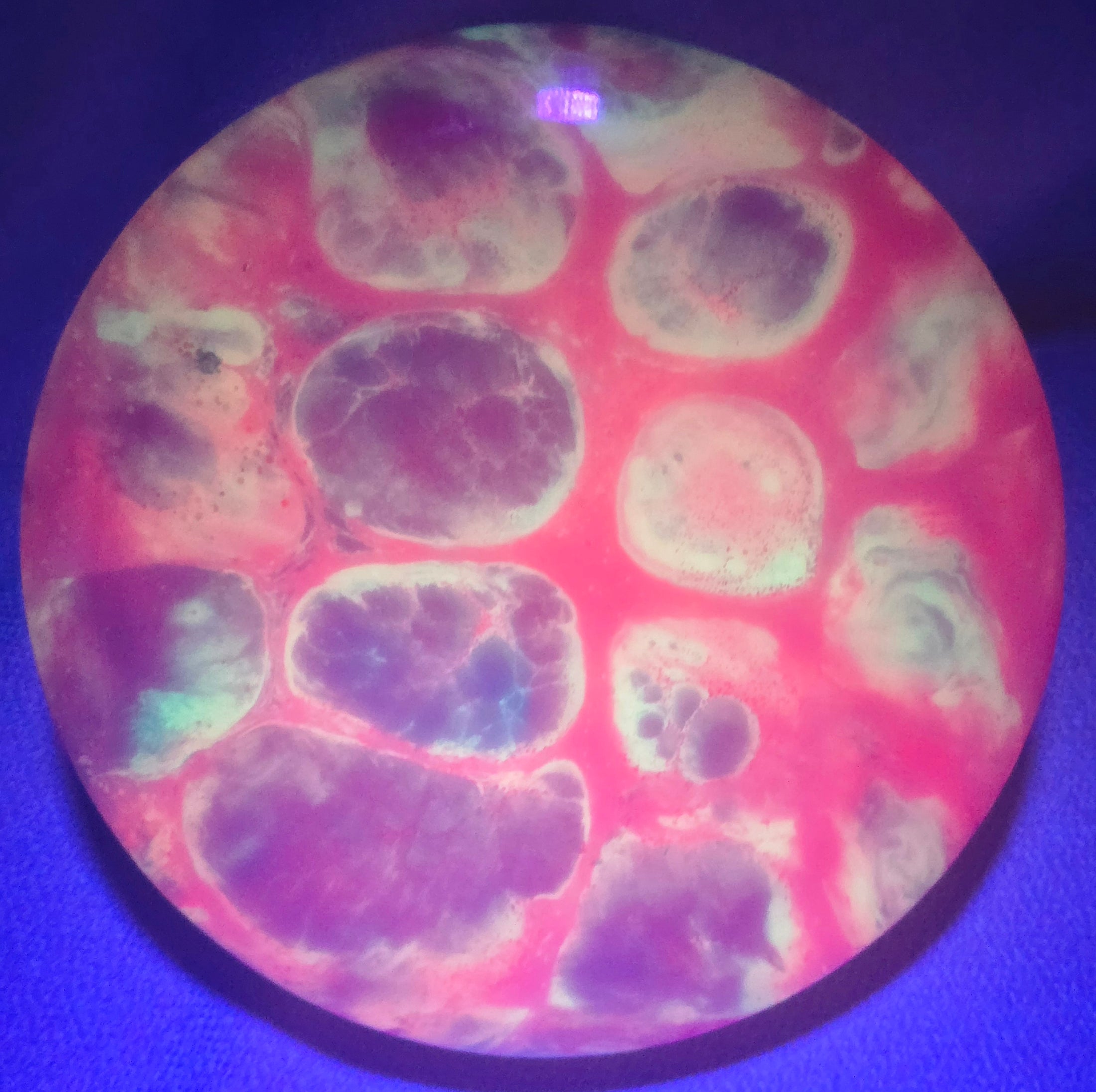 Load image into Gallery viewer, Dynamic Discs Essence Fairway Driver w/ Custom HUV Dye - Neo Evolution 169g