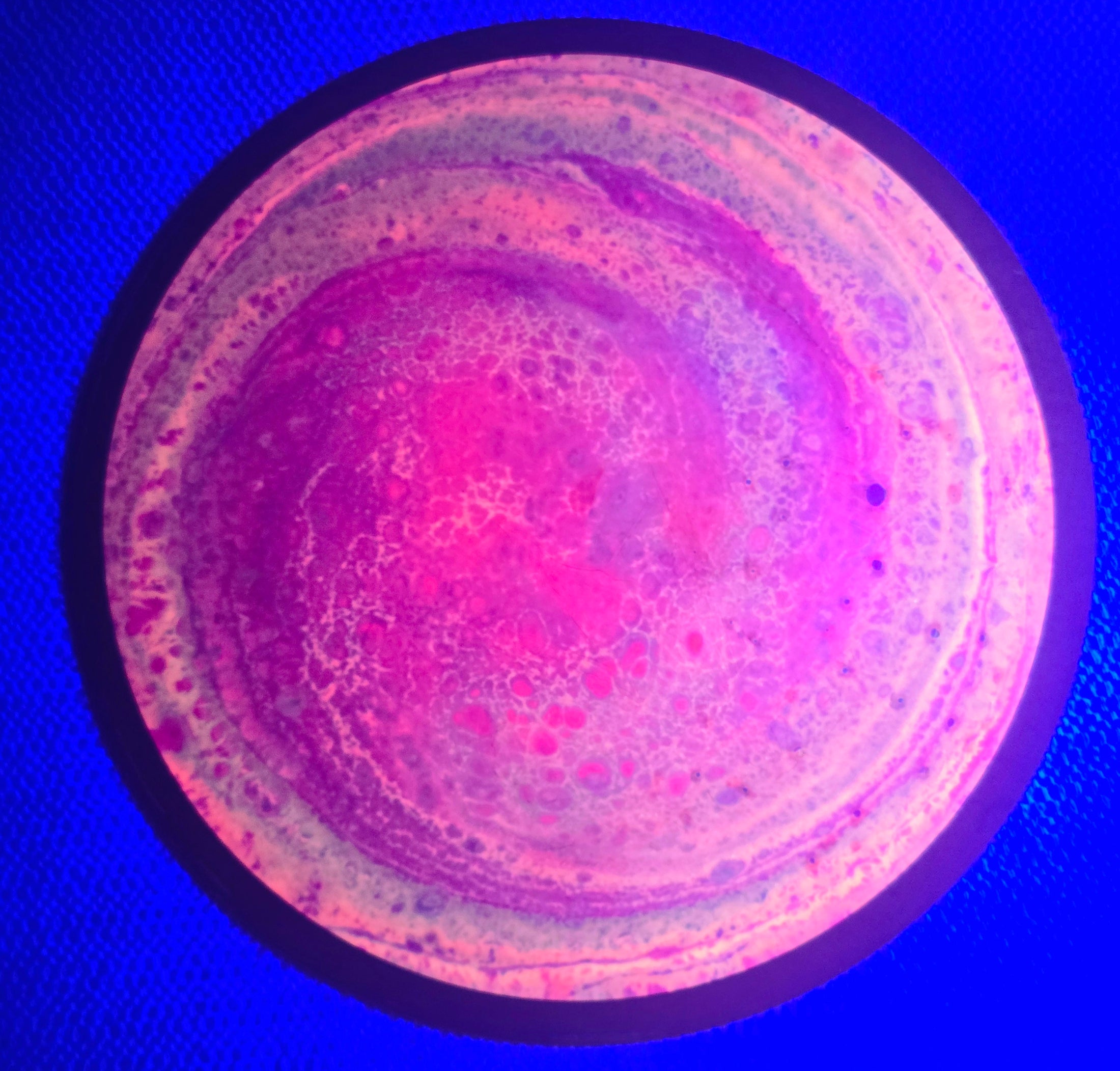 Load image into Gallery viewer, MVP Special Edition Trail w/ Custom Swirl Dye - Fission 163g