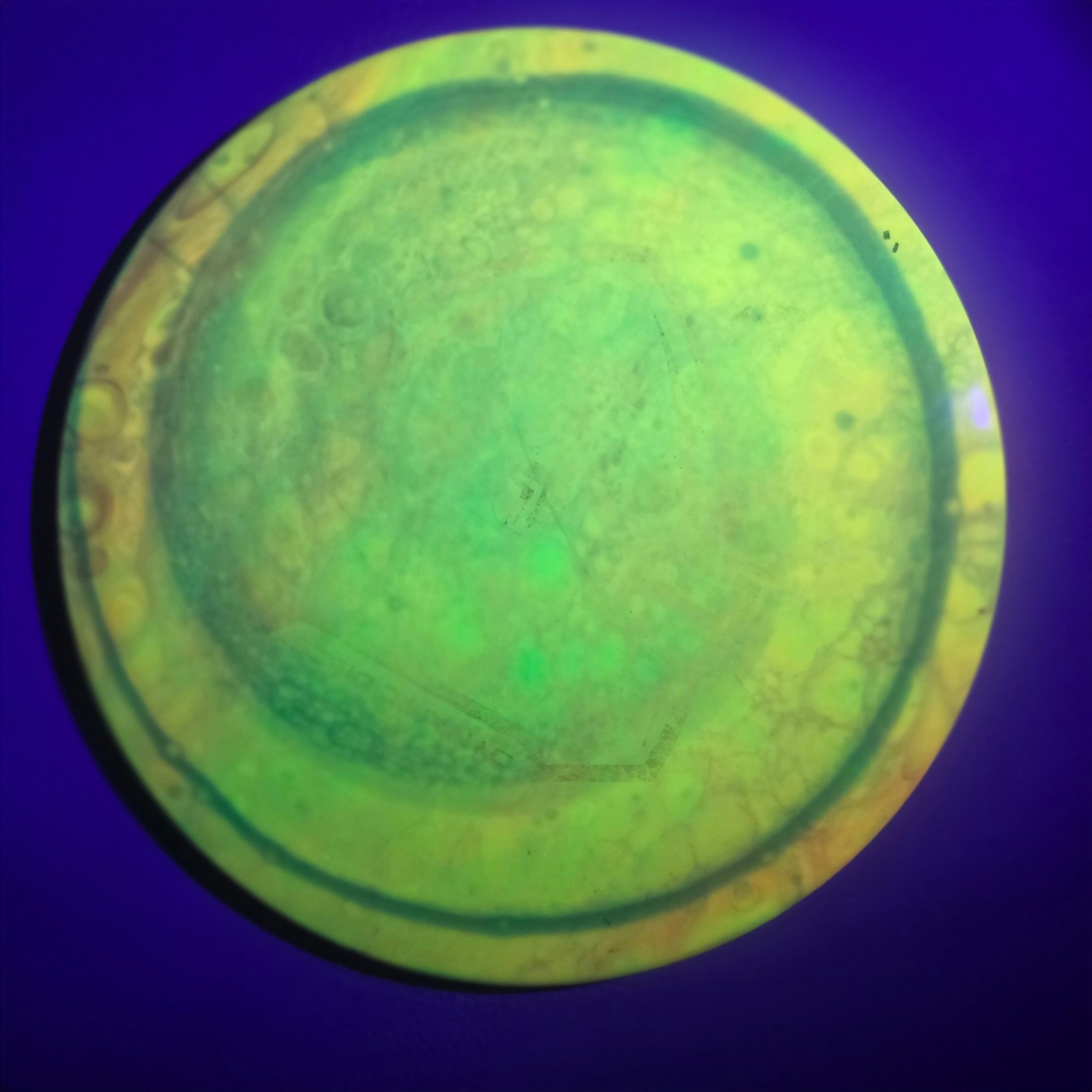 Load image into Gallery viewer, Dynamic Discs Felon w/ Custom Cell Swirl Dye - Fuzion 172g