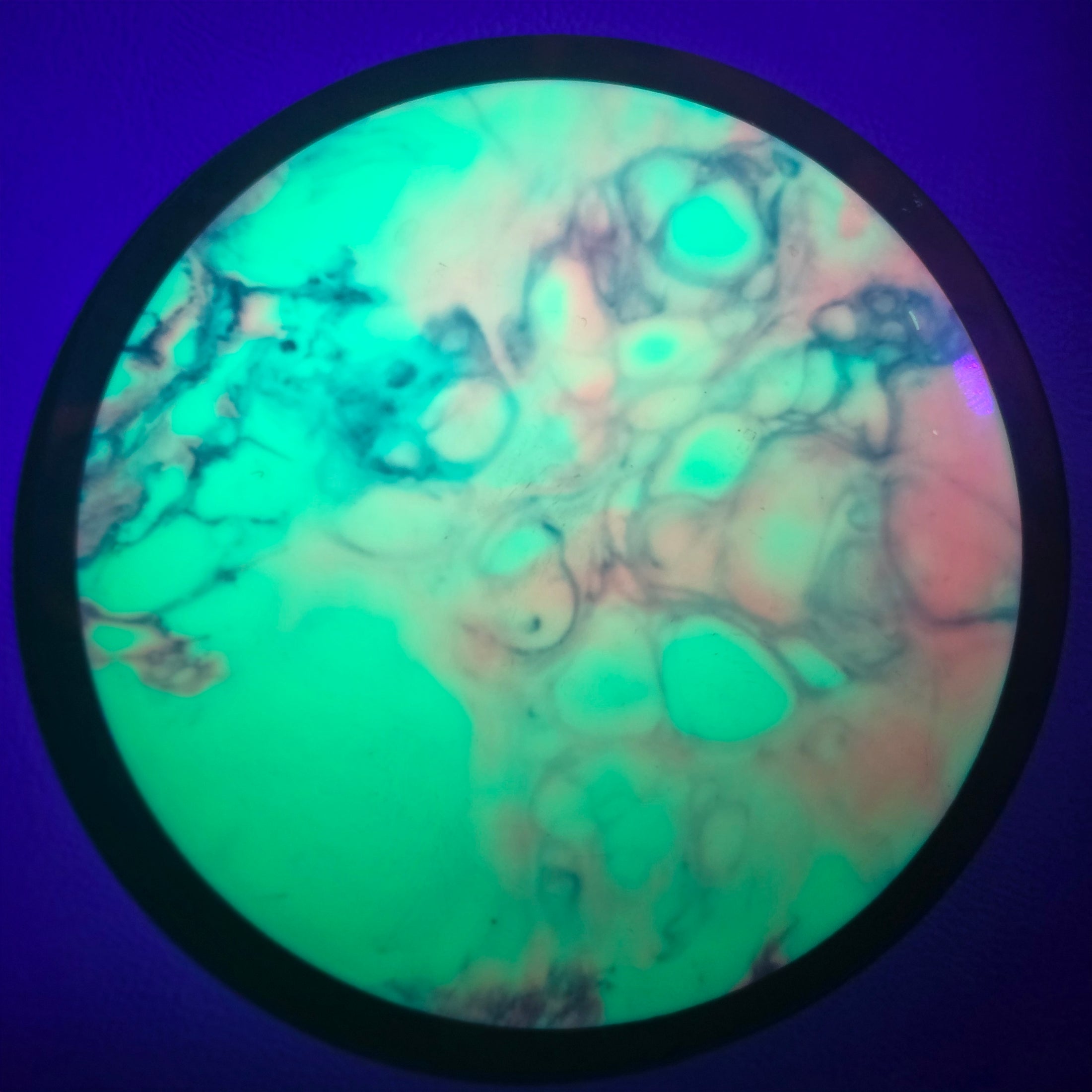 Load image into Gallery viewer, MVP Trail w/ Custom HUV Dye - Neutron 170g