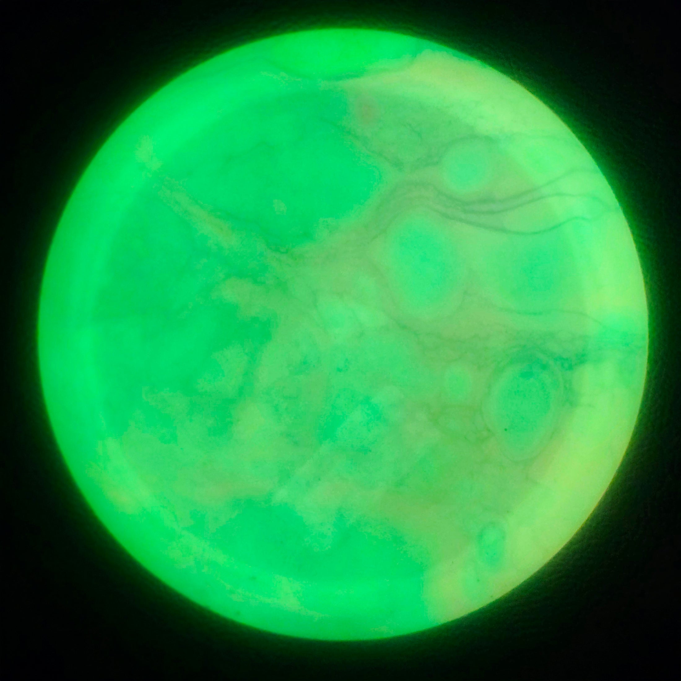 Load image into Gallery viewer, Innova Mamba Distance Driver w/ Custom Cell Dye - Proto Glow Champion 162g