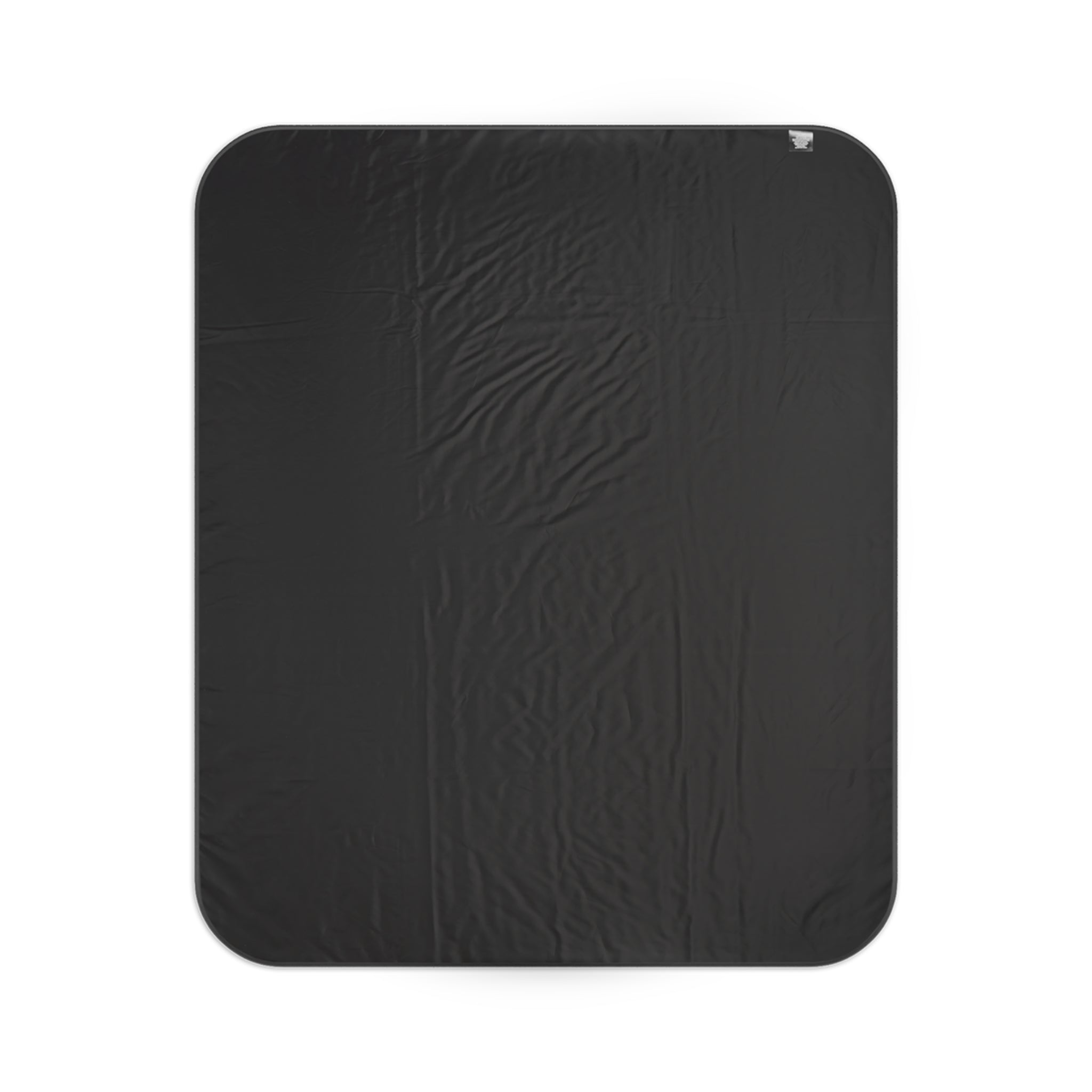 Load image into Gallery viewer, Foo Fliers DGO Picnic Blanket