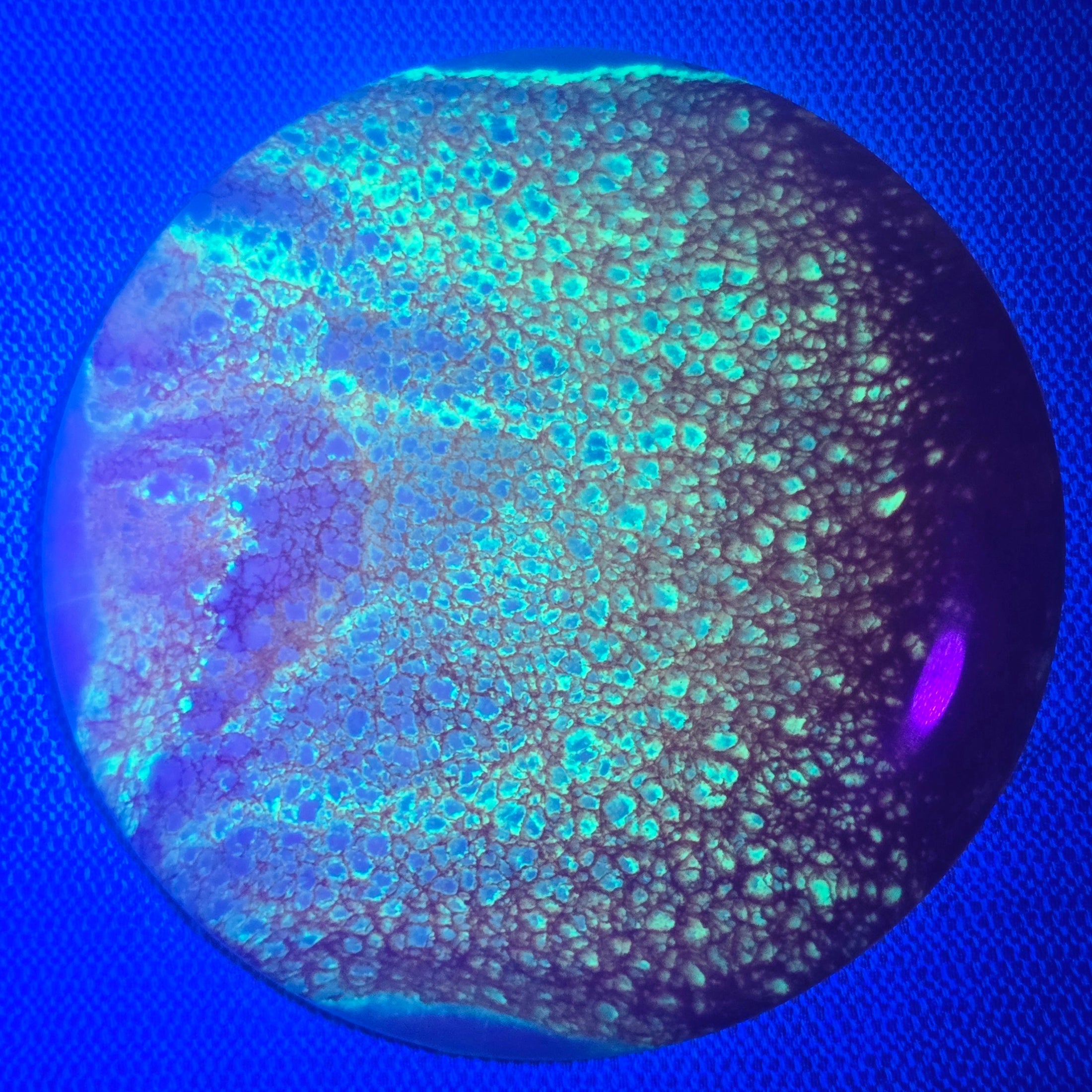 Load image into Gallery viewer, Kastaplast Kaxe-Z Midrange w/ Custom Cell Dye - K1 Soft 176g
