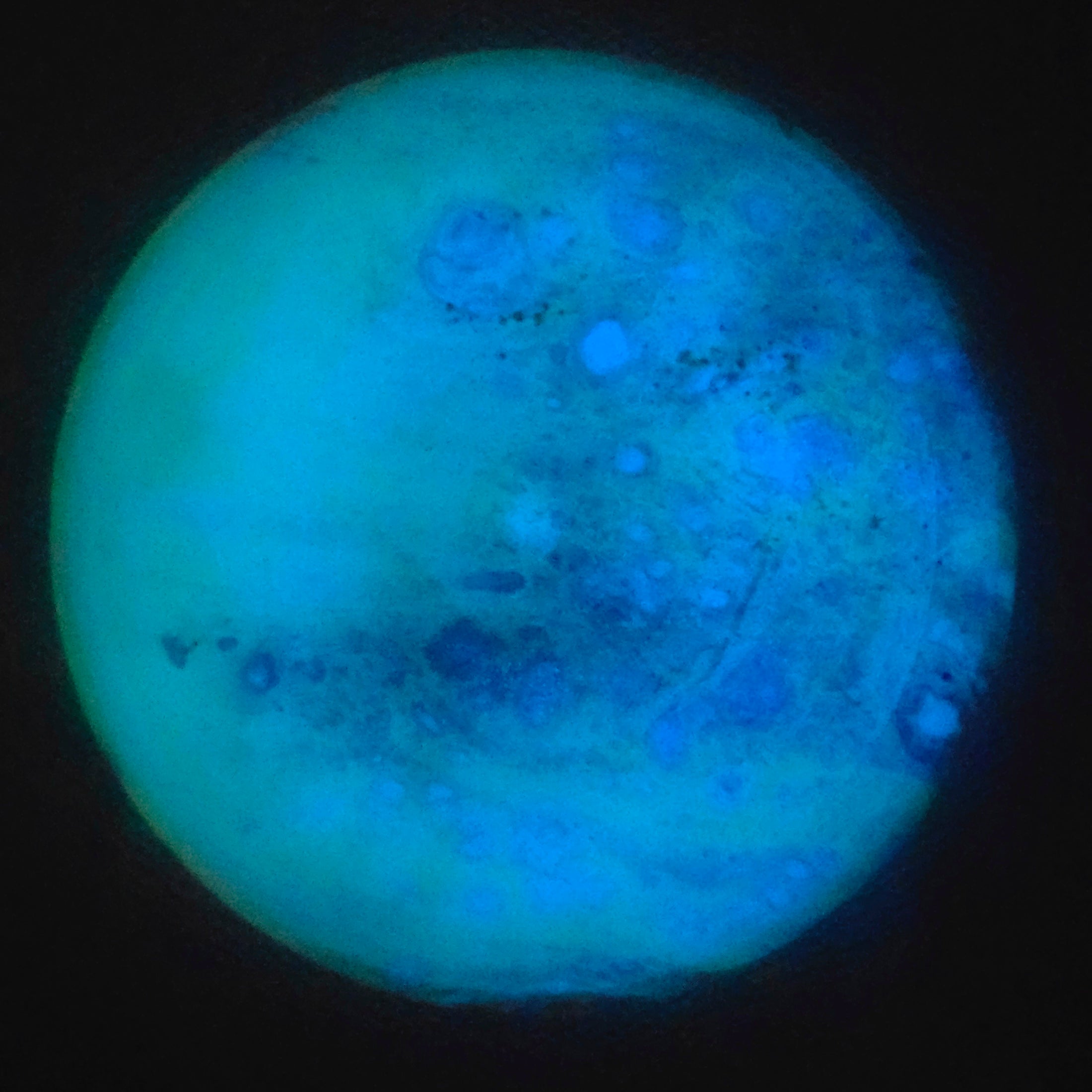 Load image into Gallery viewer, Axiom Proxy w/ Custom Planetary Dye - Total Eclipse 174g
