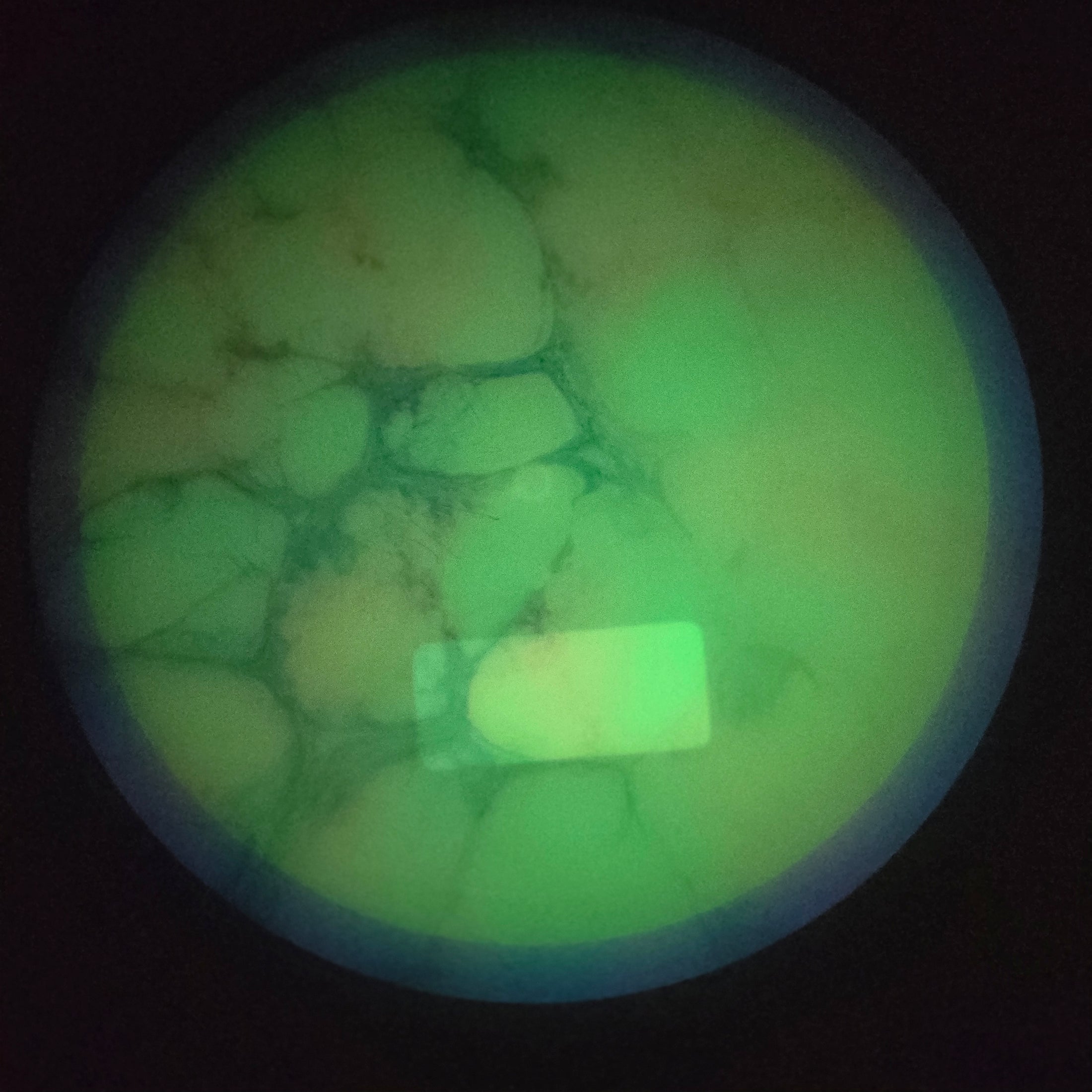 Load image into Gallery viewer, Axiom Vanish Distance Driver w/ Custom Cell Dye - Total Eclipse 174g
