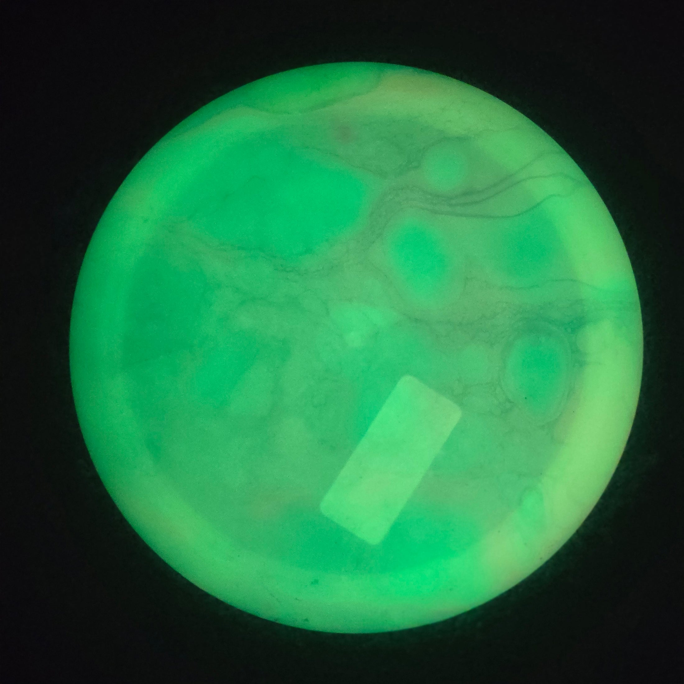 Load image into Gallery viewer, Innova Mamba Distance Driver w/ Custom Cell Dye - Proto Glow Champion 162g
