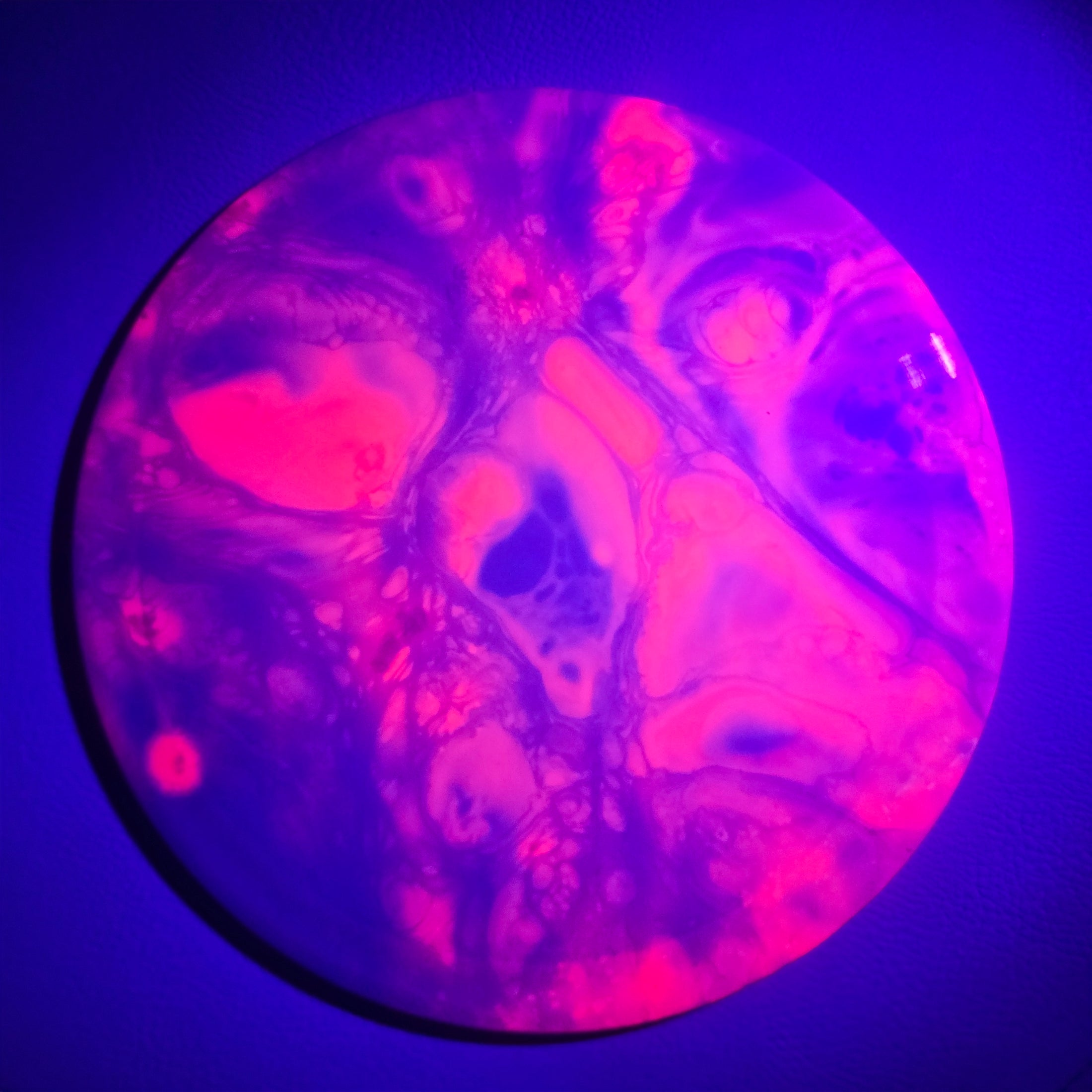Load image into Gallery viewer, Discraft Anax Control Driver w/ Custom Organic Dye - ESP 174g
