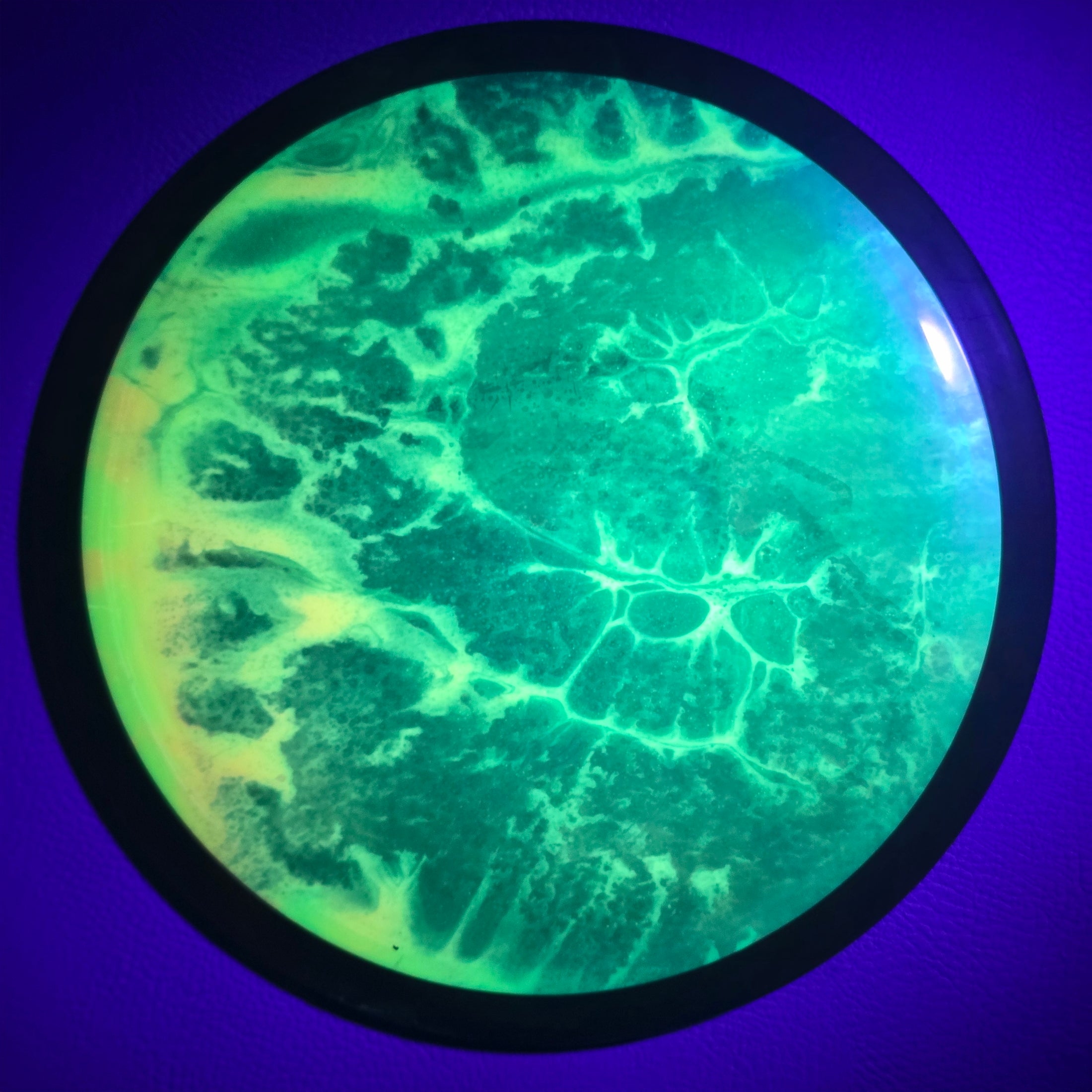 Load image into Gallery viewer, MVP Wave w/ Custom Transition Dye - Plasma 160g
