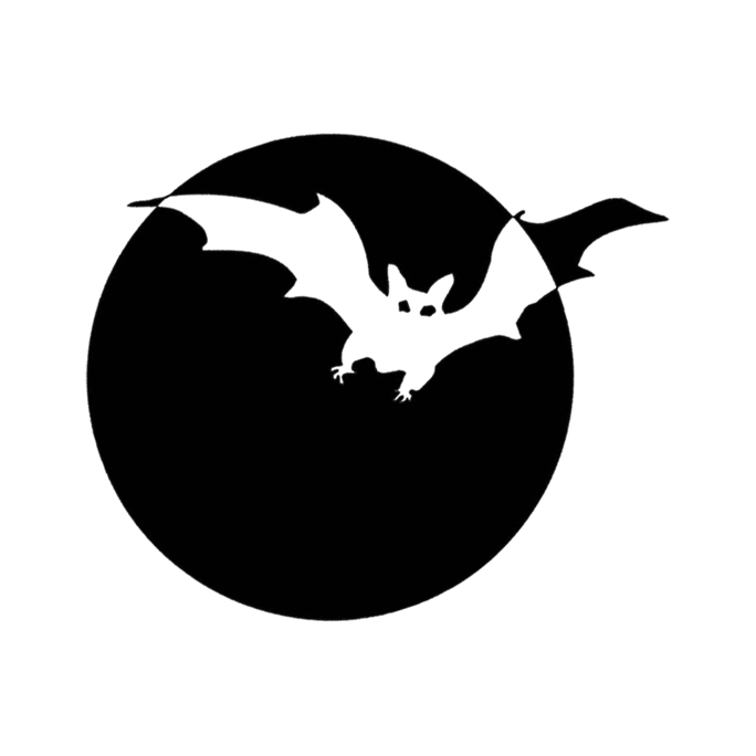 Load image into Gallery viewer, Bat in Moon
